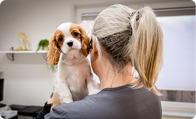 Verlässlichkeit im Team