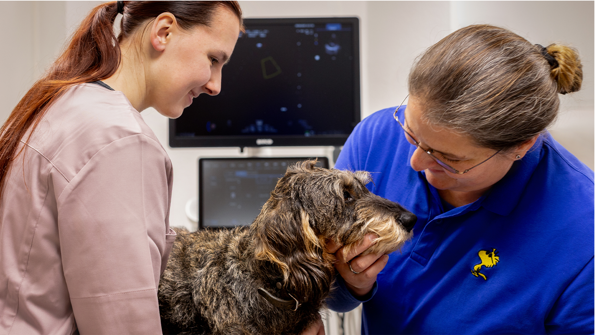 Allgemeine und Vorsorgeuntersuchungen 