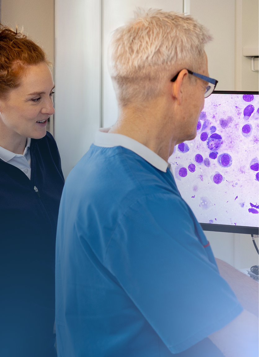 Laboruntersuchungen direkt in der Praxis oder im Speziallabor