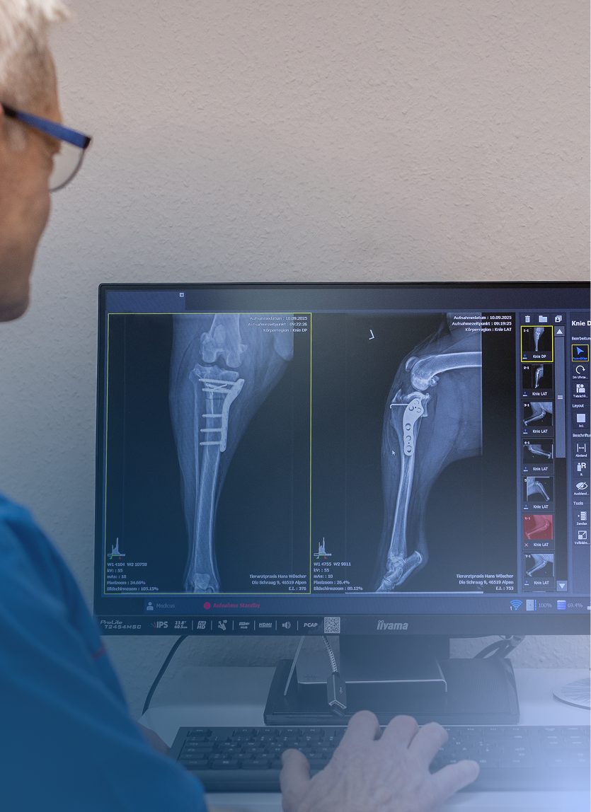 Röntgen, Ultraschall und Endoskopie für präzise Diagnosen